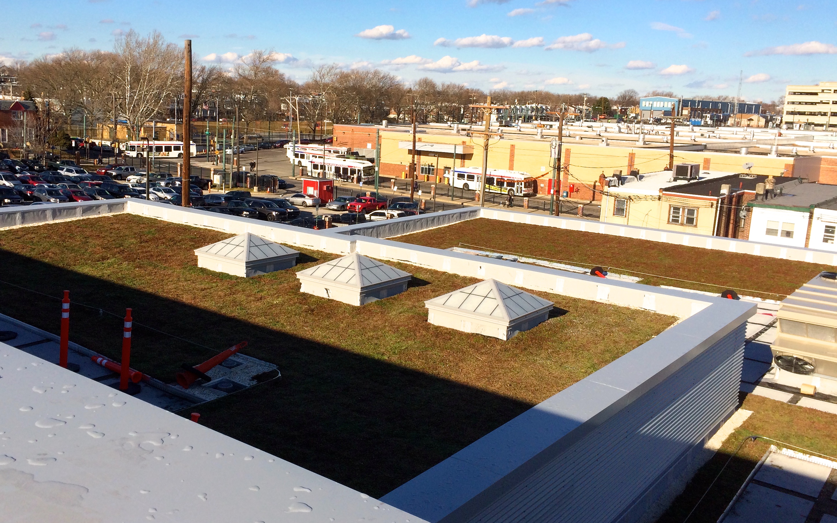 Mid- and Lower green roofs