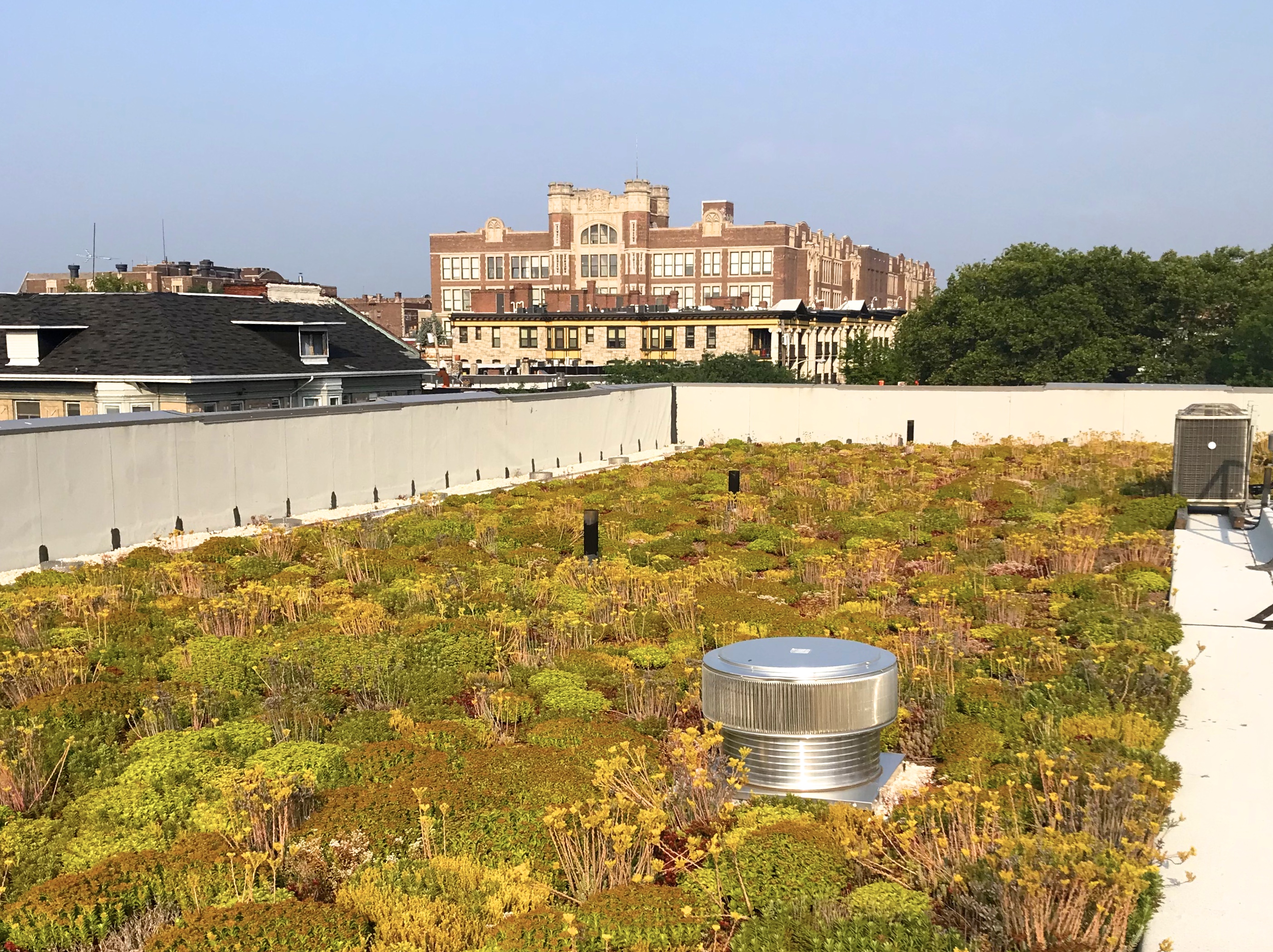 4525 Walnut Street - Philadelphia Green Roofs