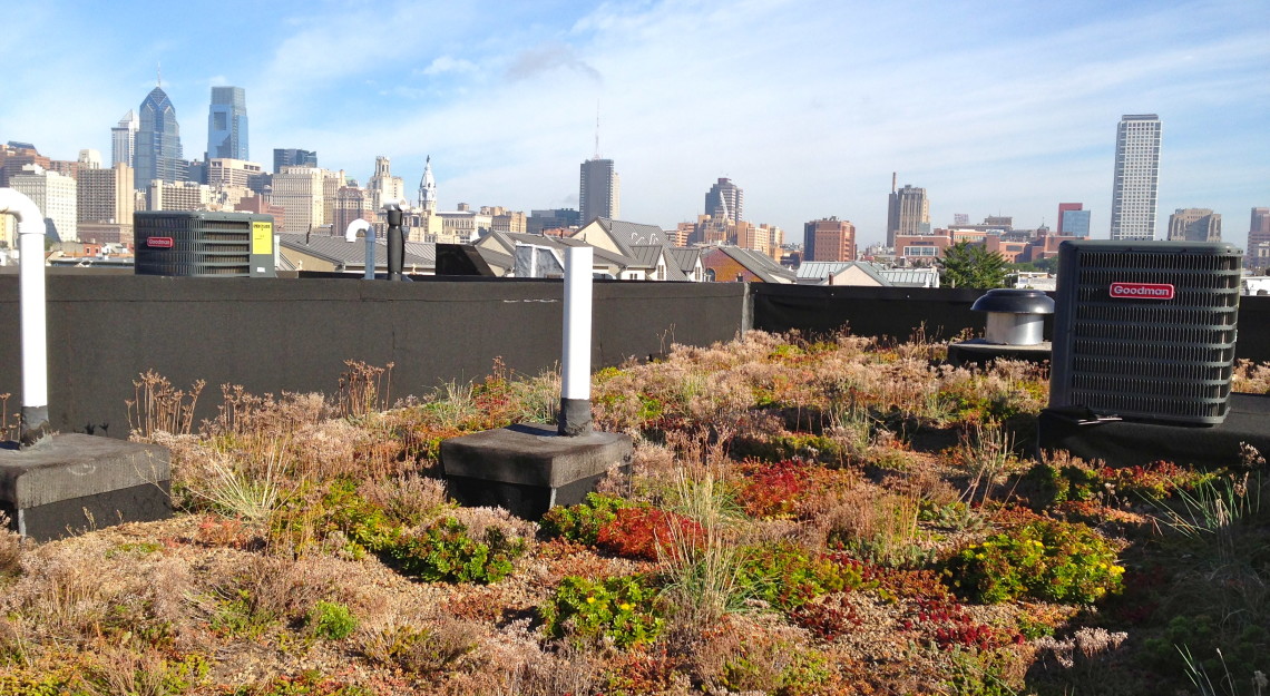 market square - philadelphia green roofsphiladelphia green roofs