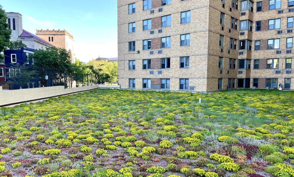 2601 Parkway Apartment Building Photo Inspiration